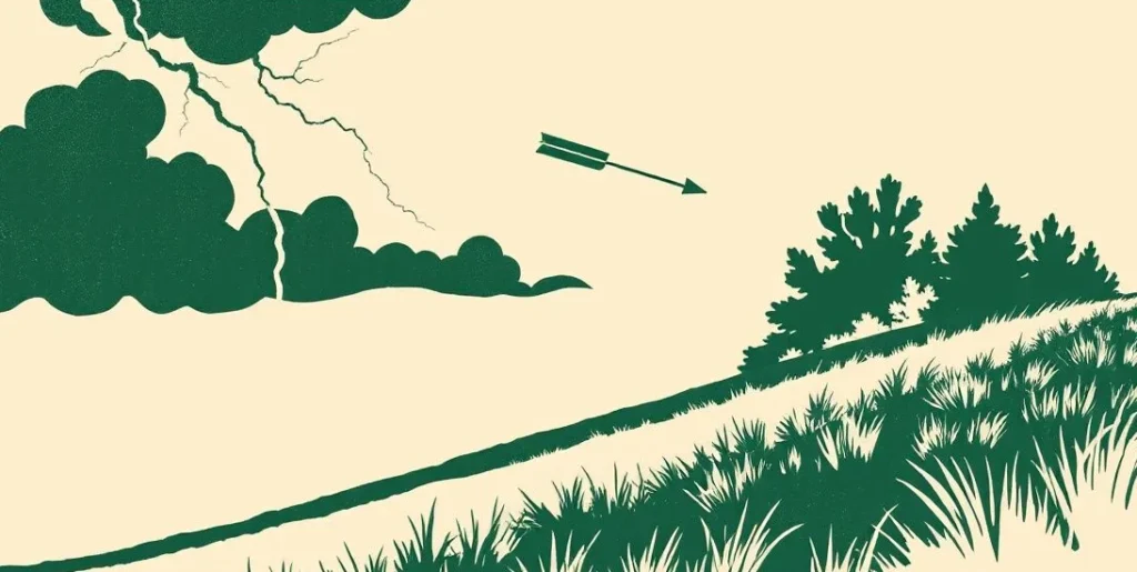 Illustration of a lightning bolt and a speeding arrow over a windswept meadow