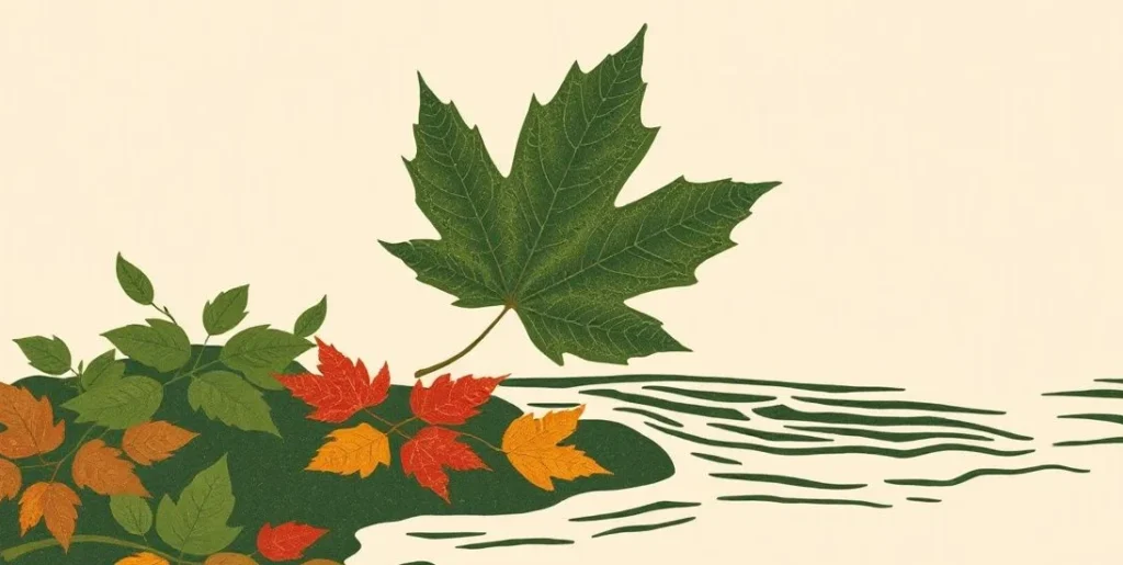 Illustration of a maple leaf floating down a stream past colorful leaves