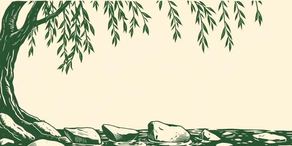 Illustration of three stepping stones crossing a shallow stream
