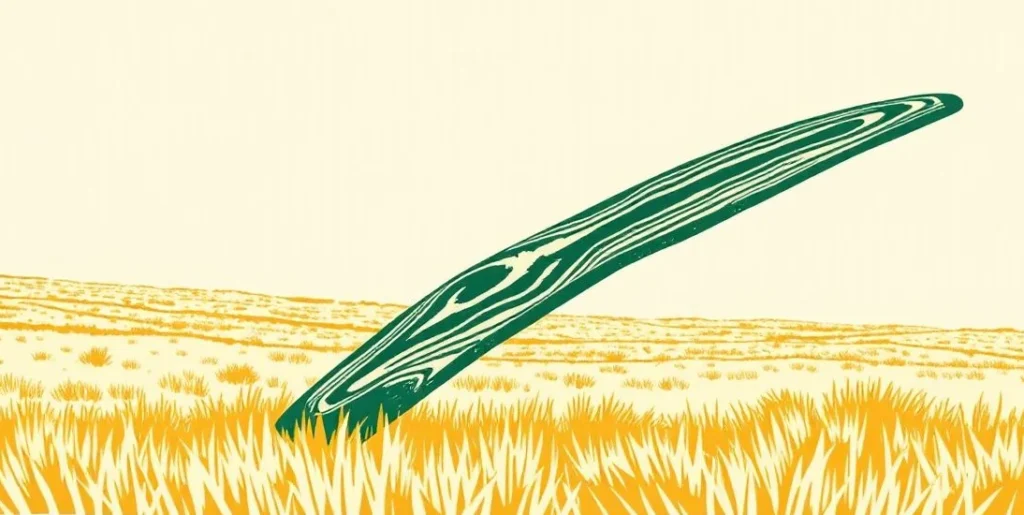 Illustration of a boomerang arcing back over a dry grassland