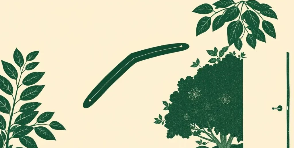 Illustration of a boomerang flying back toward a garden with a paper airplane beside it